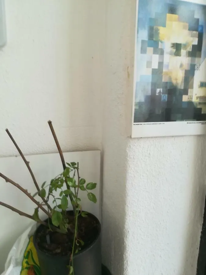 Freelisbonstudio Apartment  Lisbon